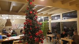 2º Torneo Semilampo di Natale “Three Trees”